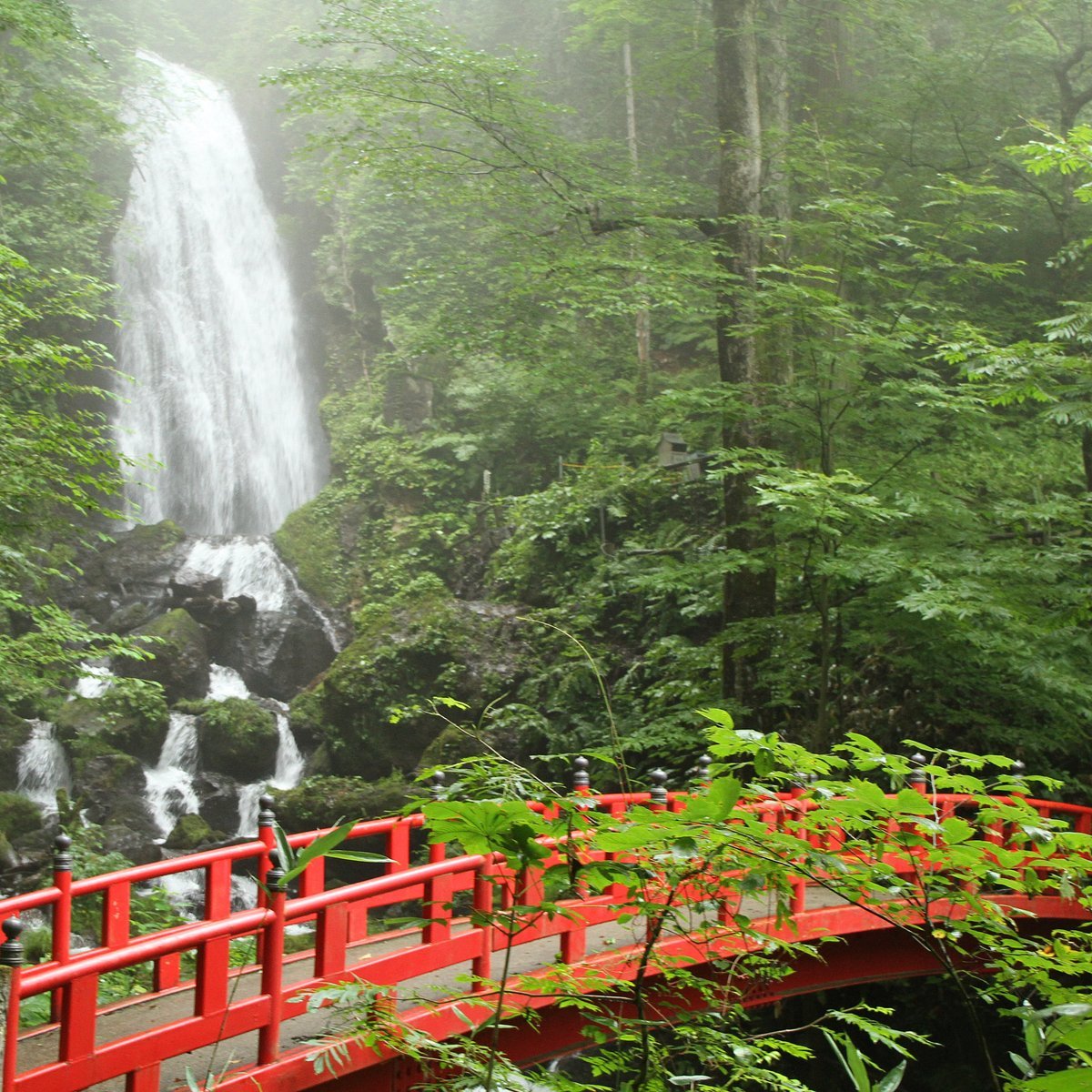 🏞️ 컨트리 파크 (カントリーパーク) 이미지 6